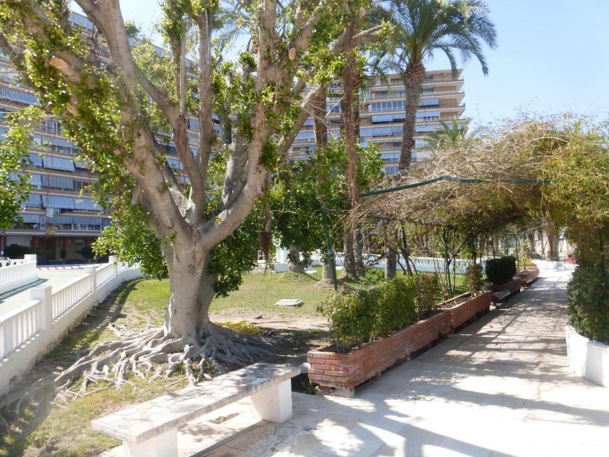 알리칸테 Family And Friends - San Juan Playa 아파트 외부 사진